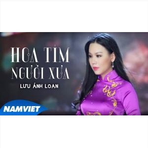 Hoa Tím Người Xưa